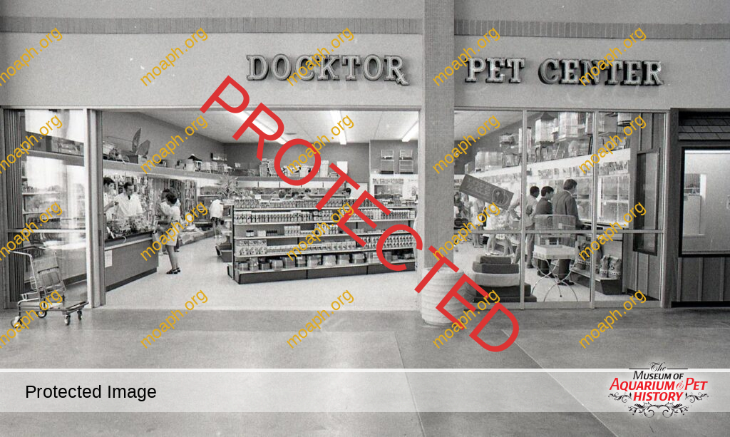 My Life in the Pet Industry - Part 2