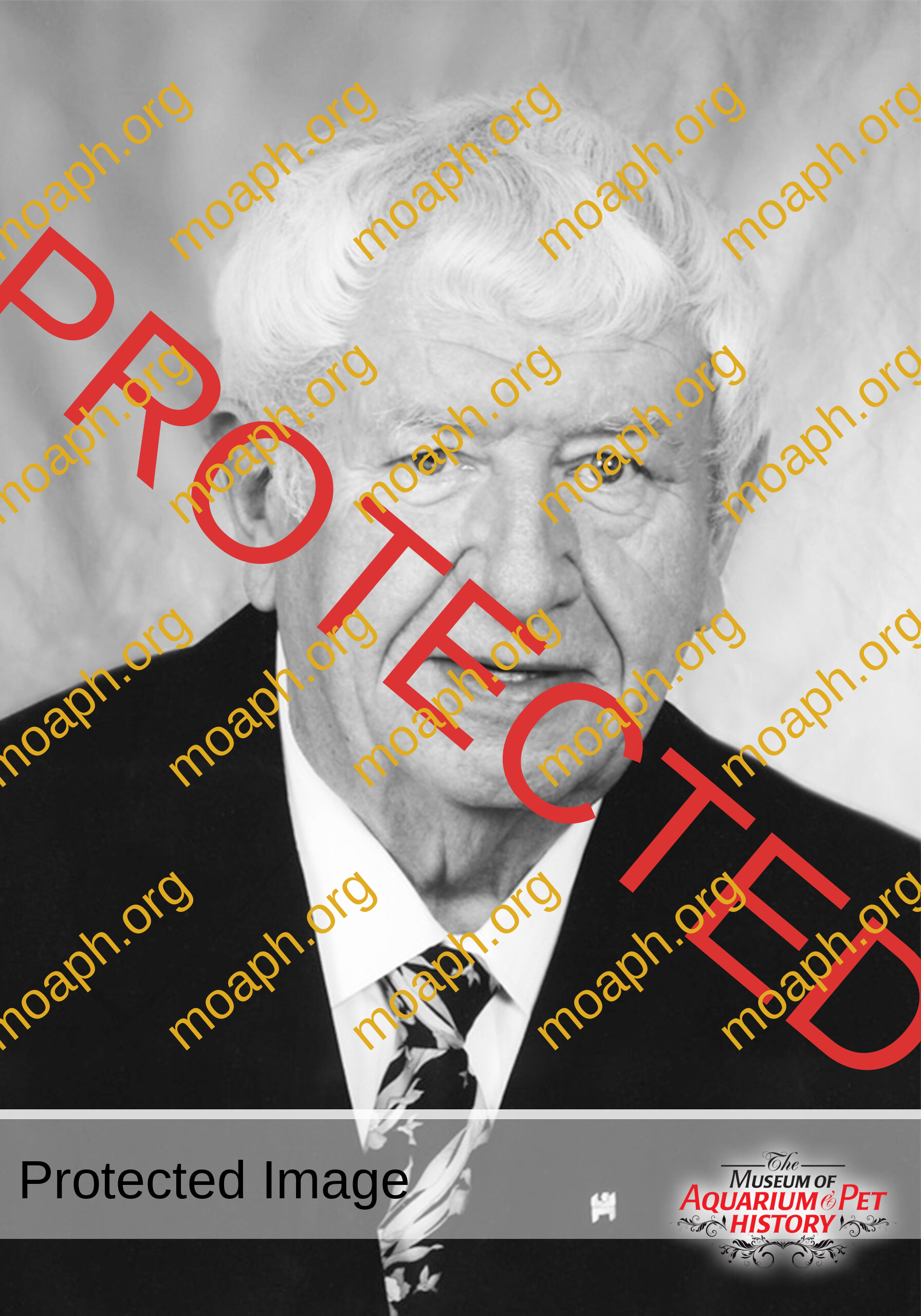 Steve-Feinberg-Part2-Photo11