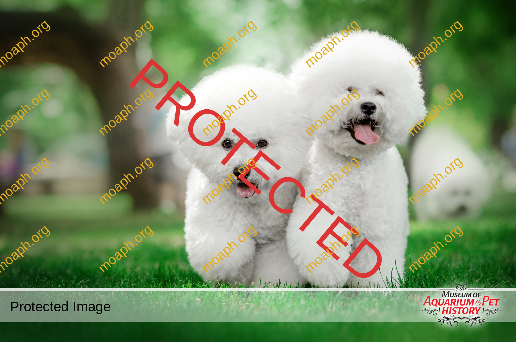 Steve-Feinberg-Part2-Photo3