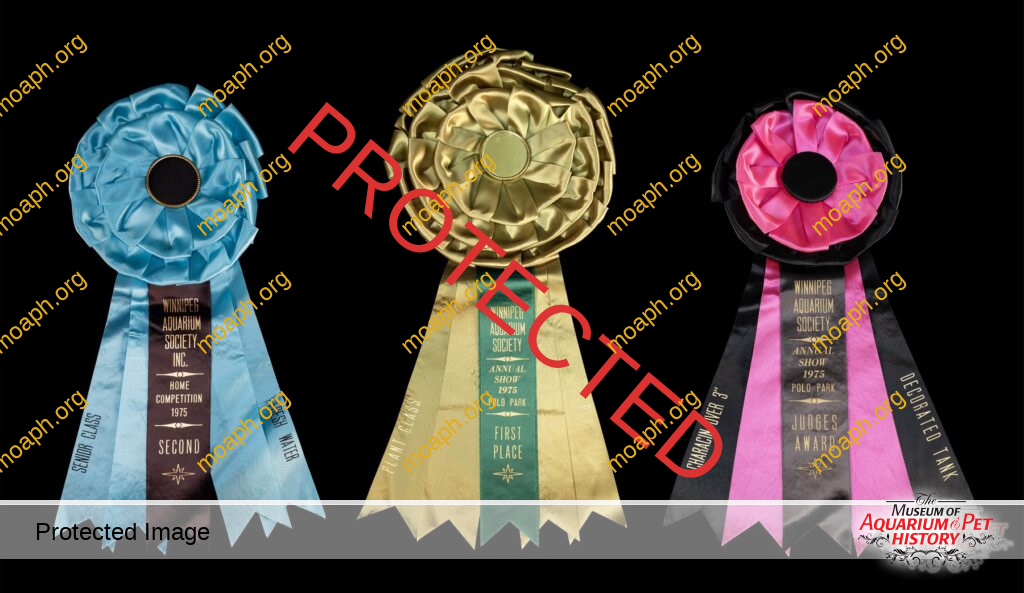 Winnipeg Aquarium Society Ribbons