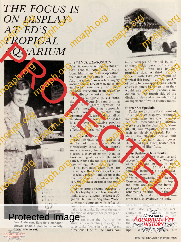 The Focus is On Display at Ed's Tropical Aquarium