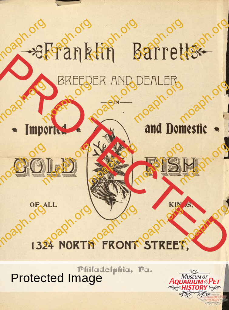 Franklin Barrett - Between the Pages