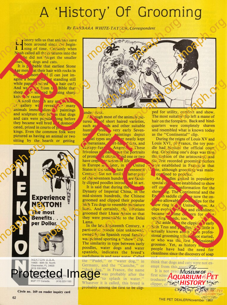 The 'History' of Grooming