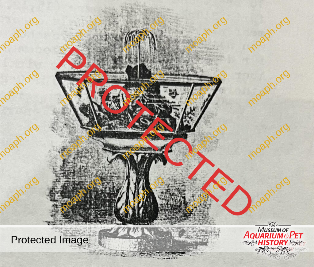 Pet Keeping in 1797 Germany - Chapter 3 Part 2