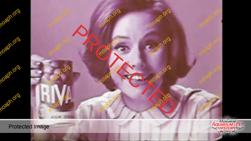 MOAPH 8mm Films - Rival Dog Food Commercial