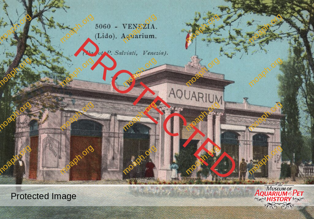 The Forgotten Aquariums of Venice - Part 2