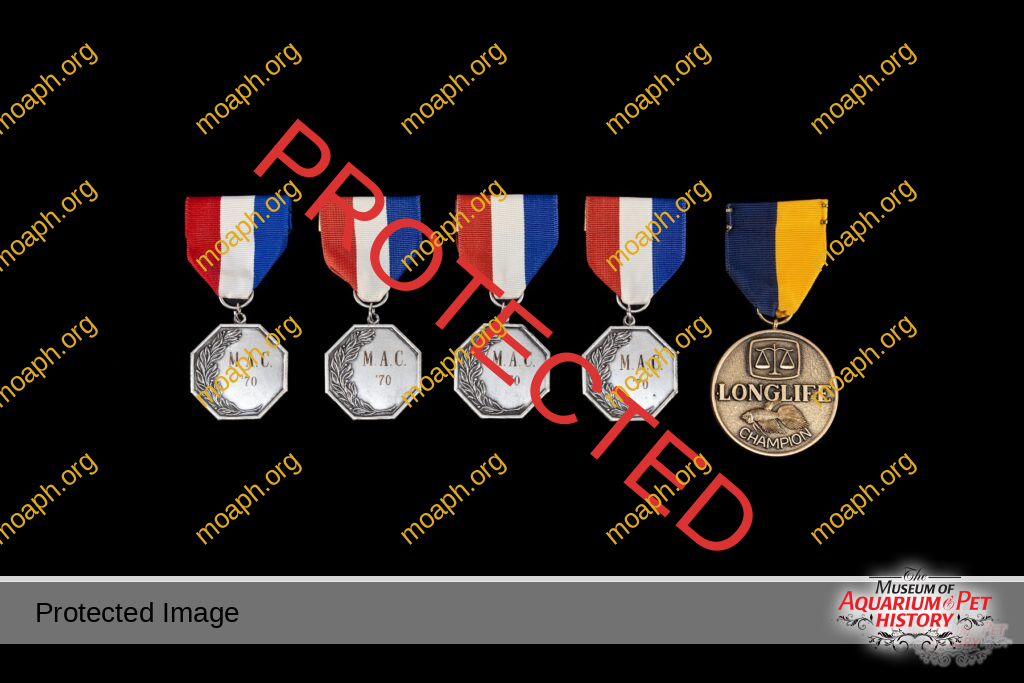 Midwestern Aquarists Club Awards