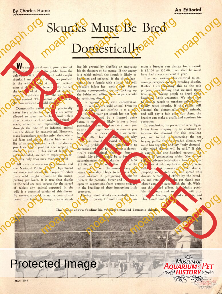 Skunks Must Be Bred Domestically