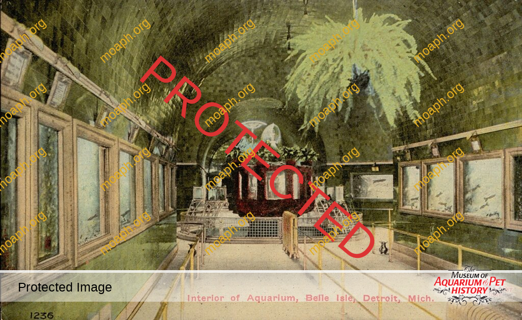 The Detroit Aquarium (Also Known as the Belle Isle Aquarium)