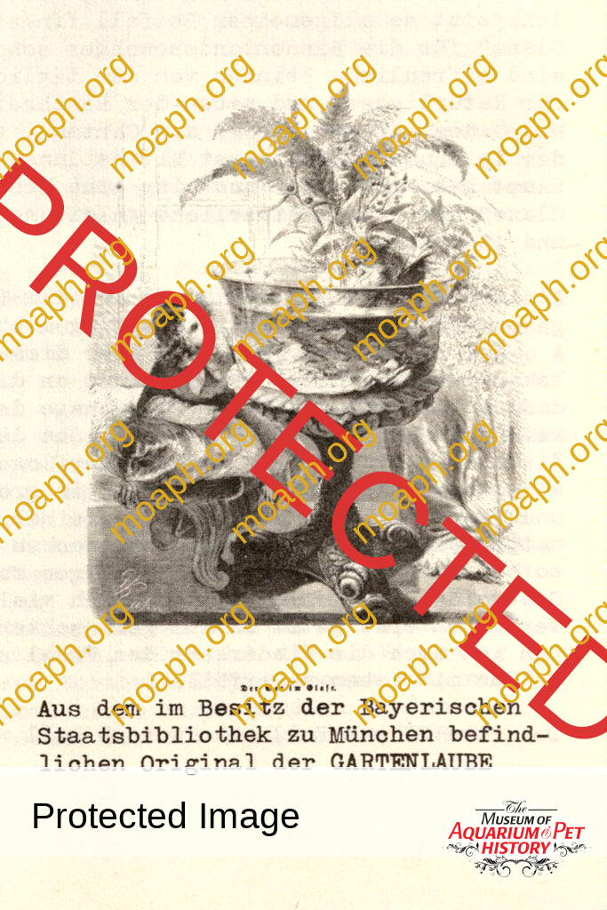 Pet Keeping in 1797 Germany - Chapter 4