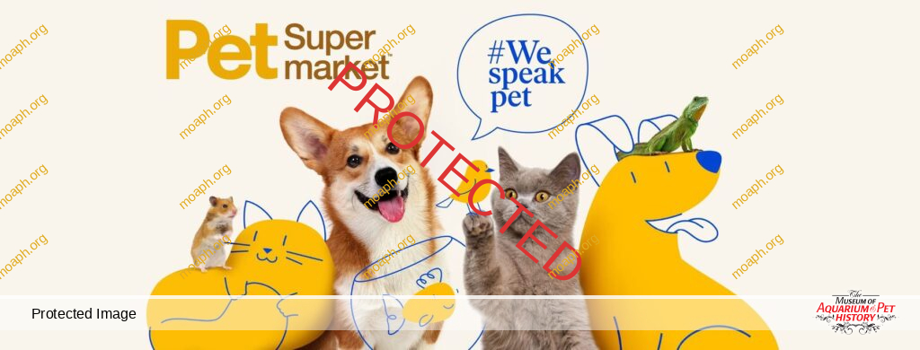 My Life in the Pet Industry - Part 4