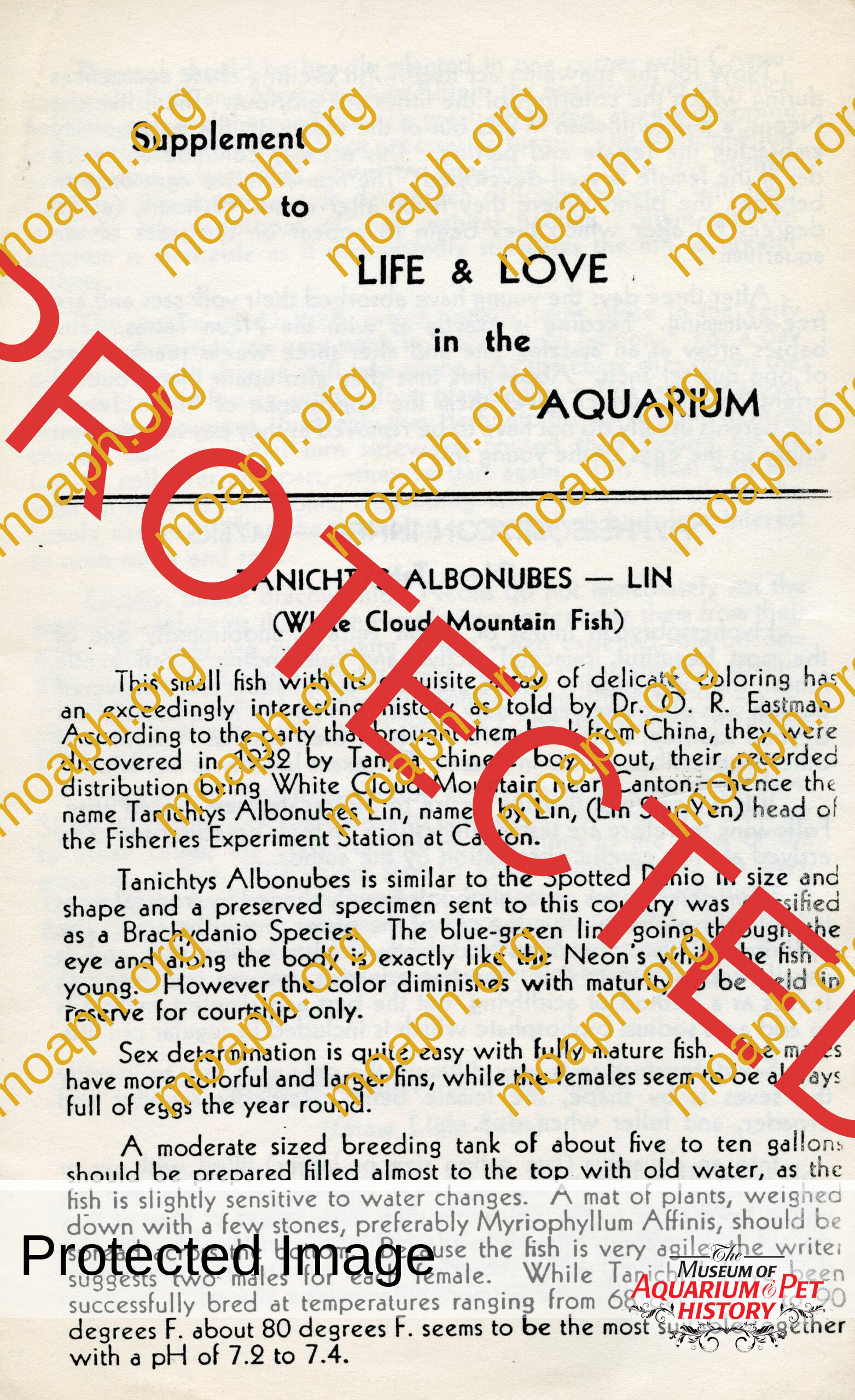 peters 3003 lee finley