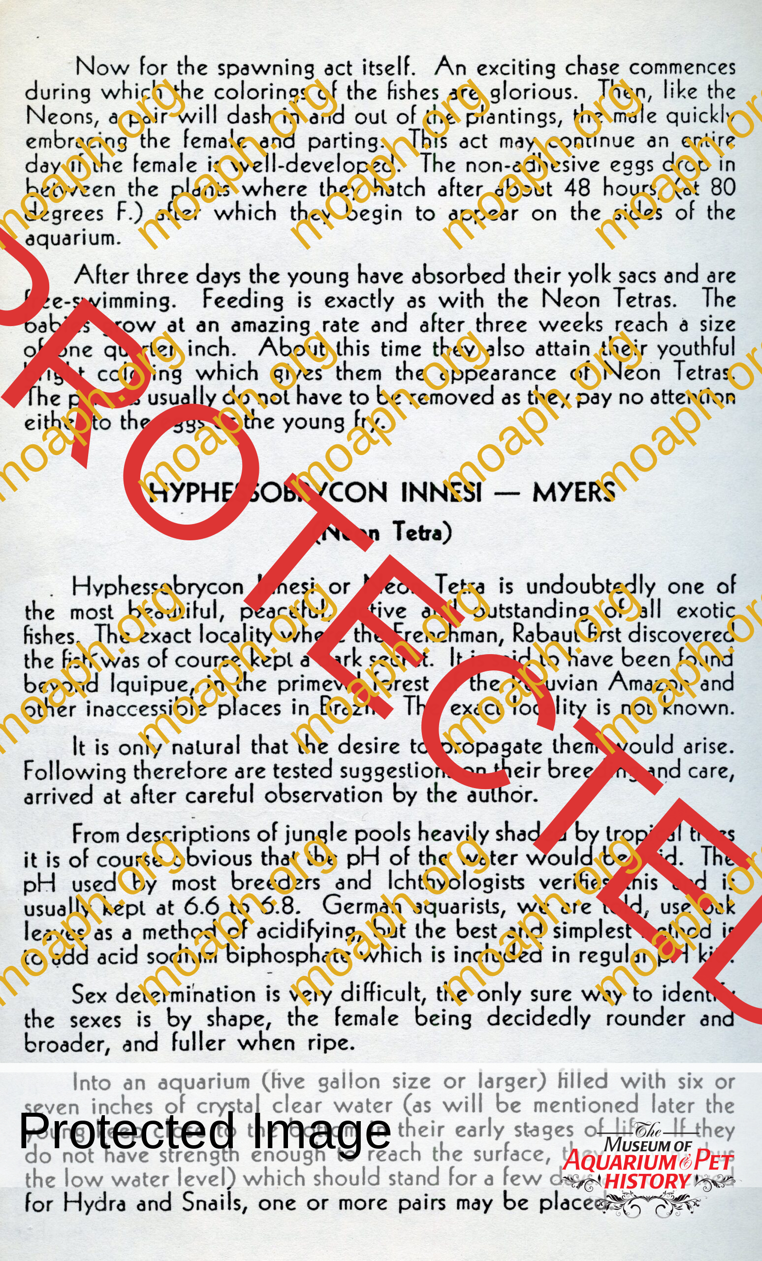 peters 4004 lee finley