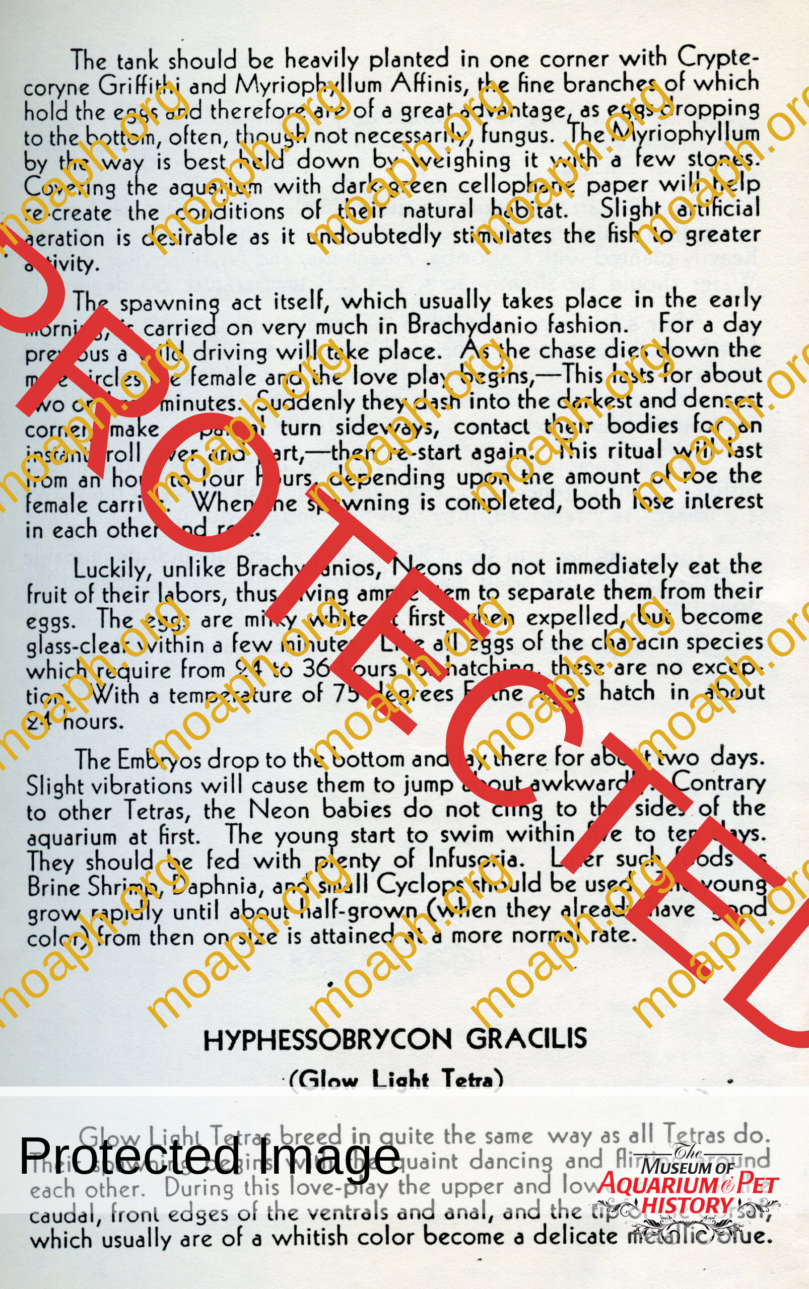 peters 5005 lee finley