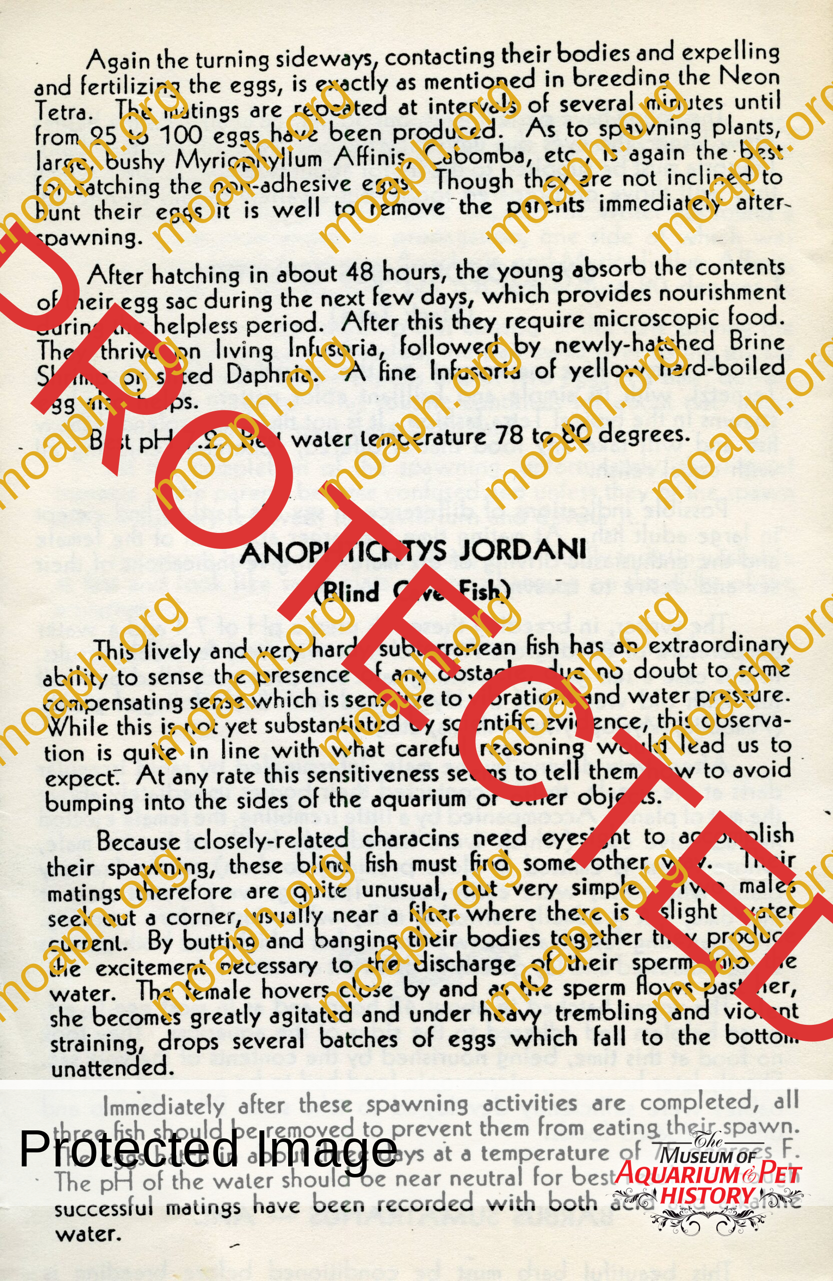 peters 6006 lee finley