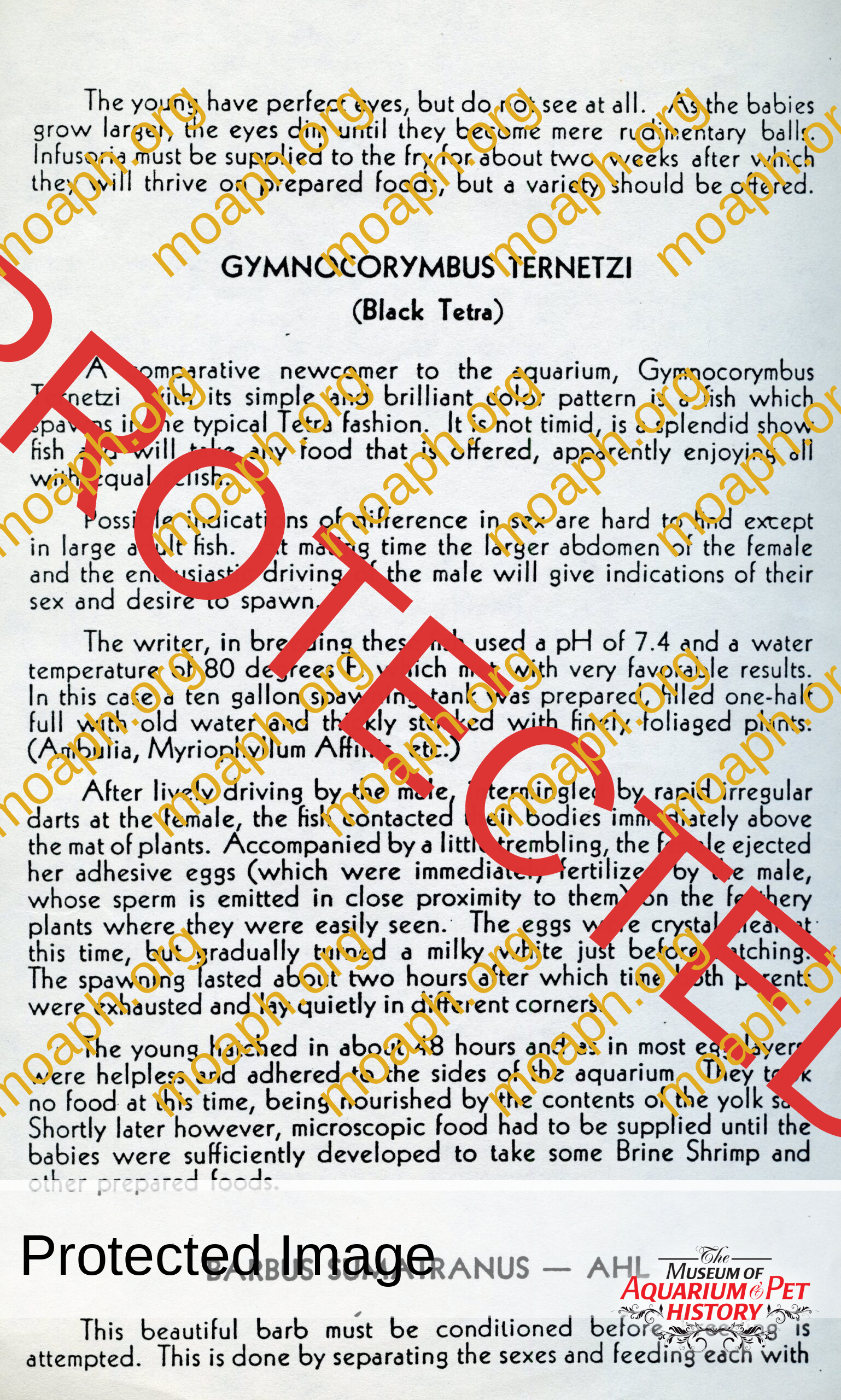 peters 7007 lee finley