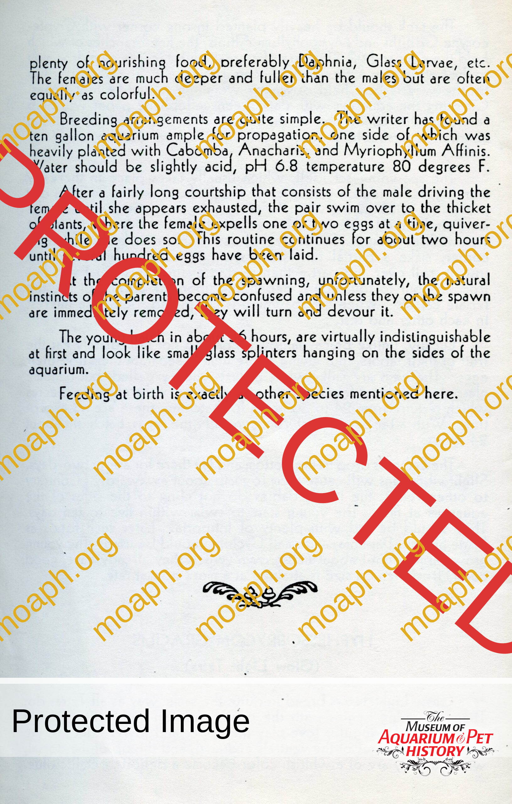 peters 8008 lee finley