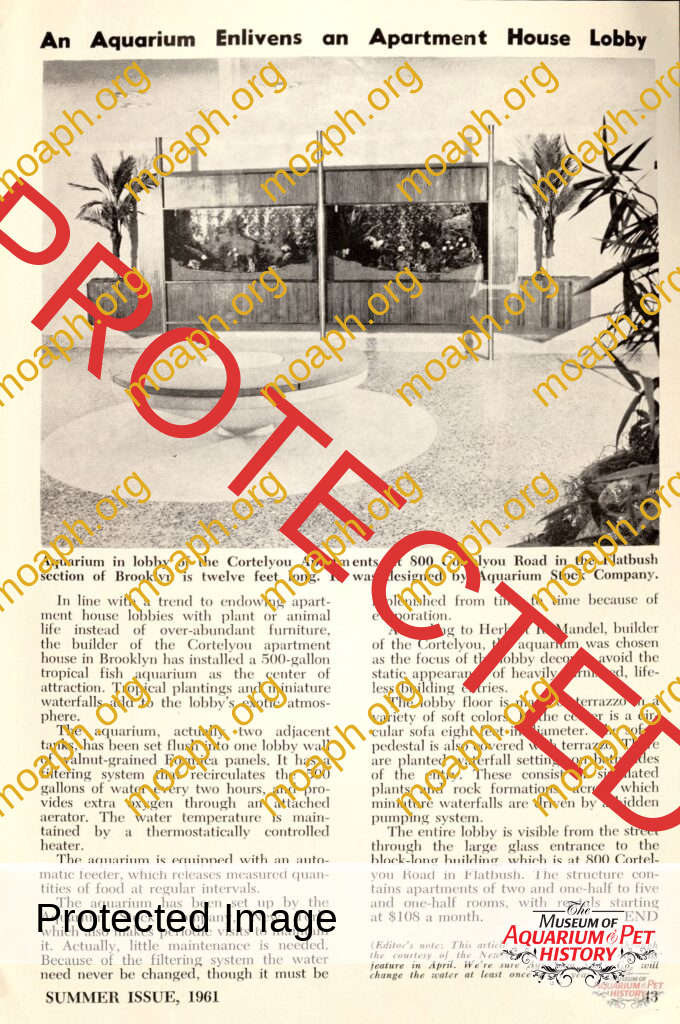 An Aquarium Enlivens an Apartment House Lobby (made by Aquarium Stock Company)