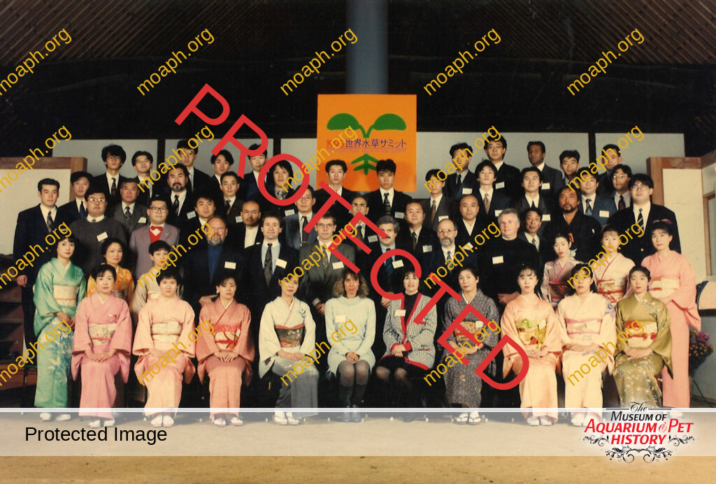 At the Dawn of Zen Aquascaping