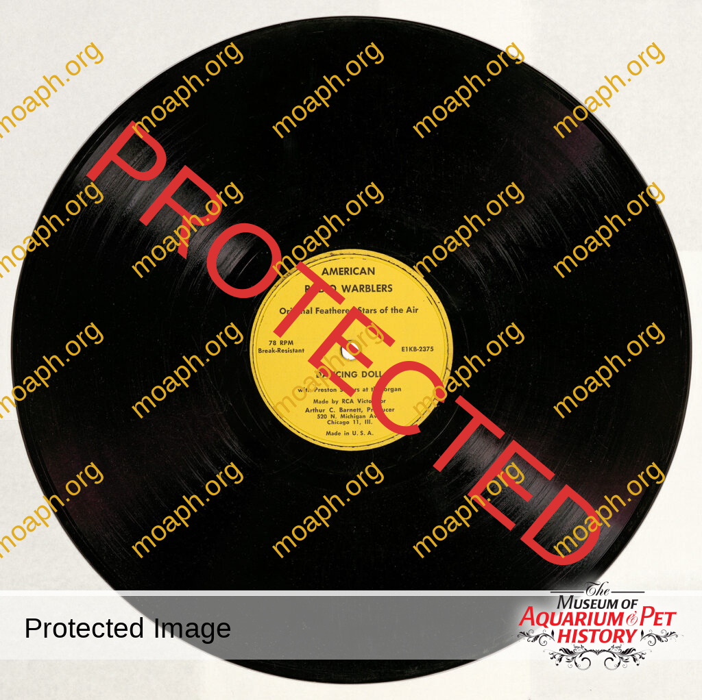 American Radio Warblers: Original Feathered Stars of the Air