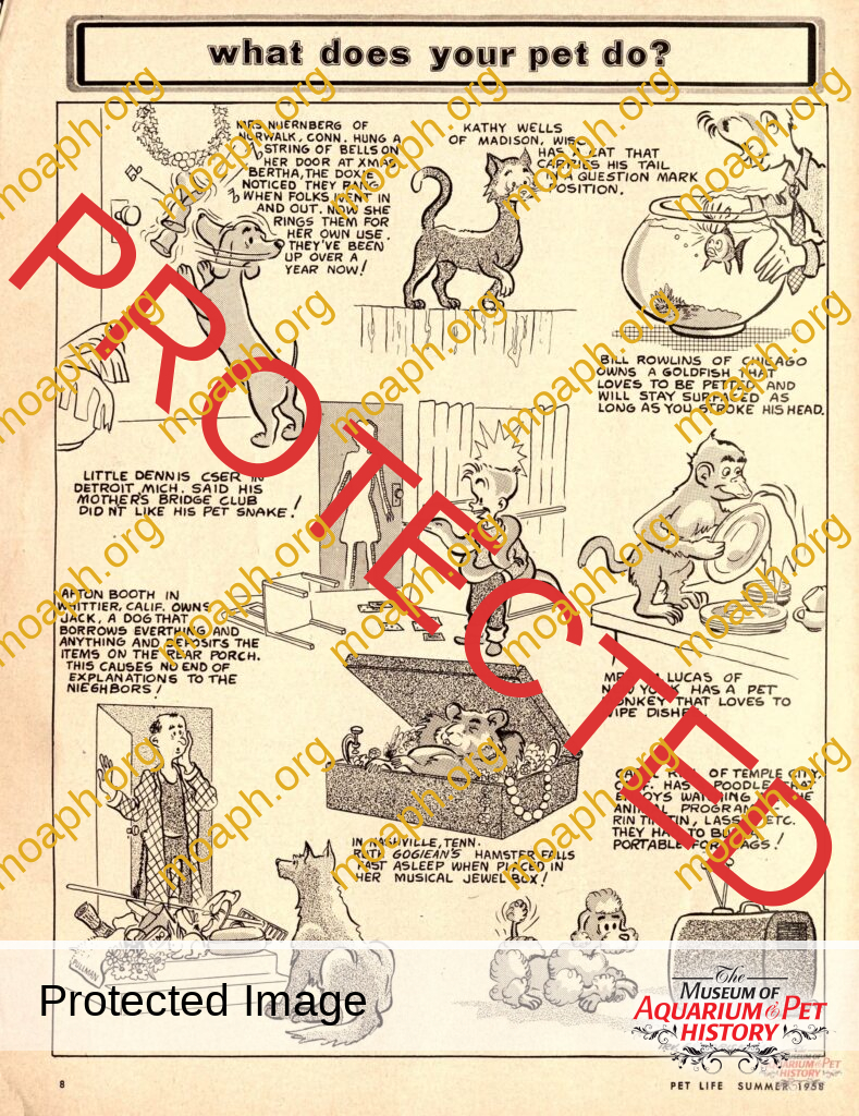 What Does Your Pet Do?