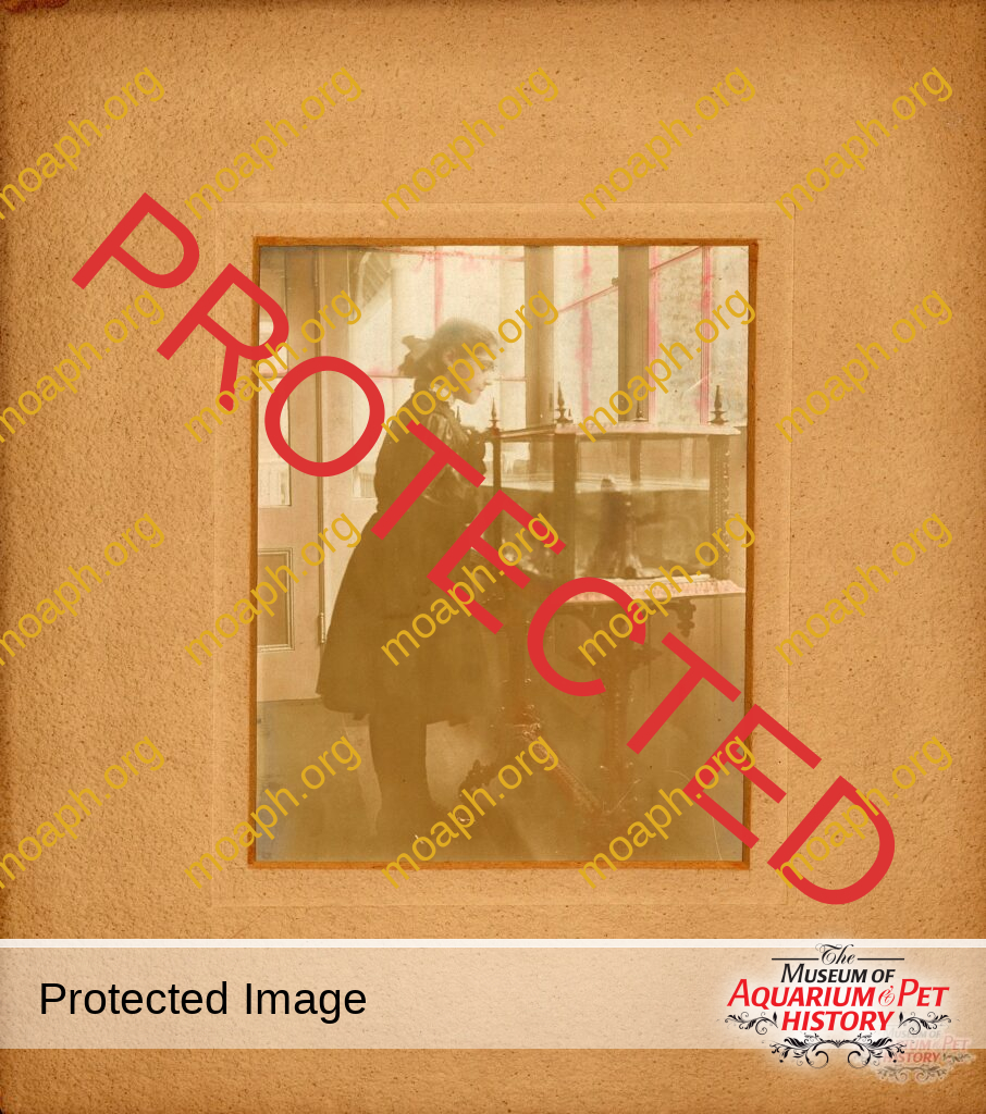 Girl with J.W. Fiske Aquarium