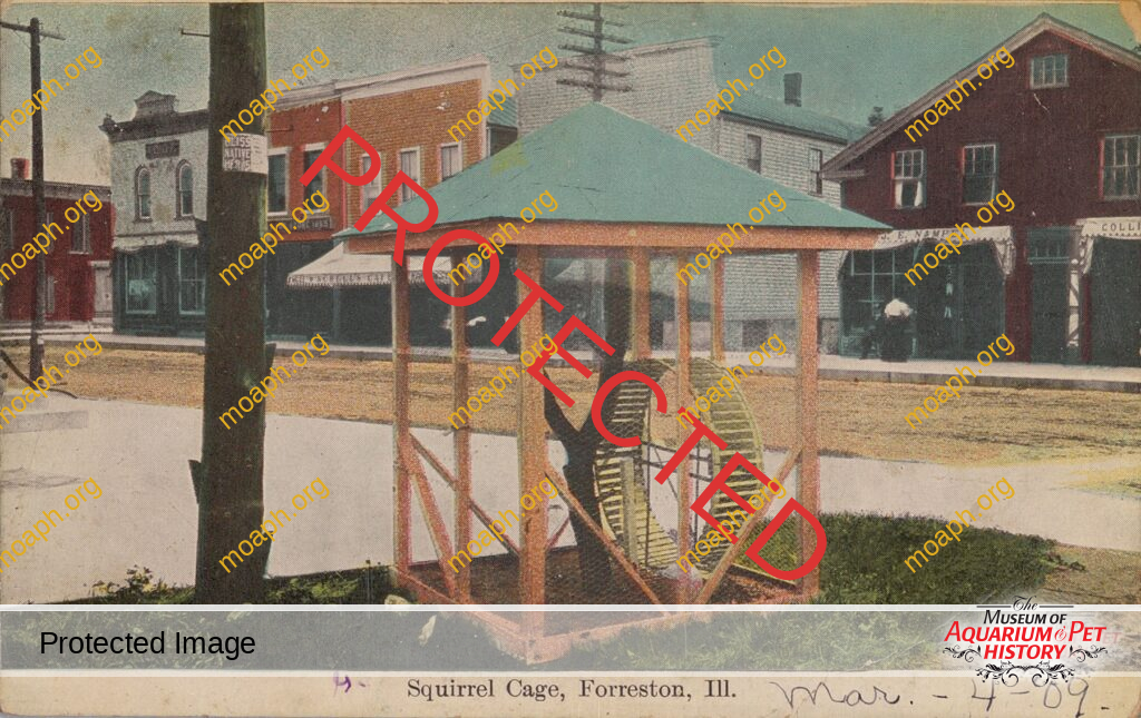 Giant Squirrel Cage in Forreston, Illinois