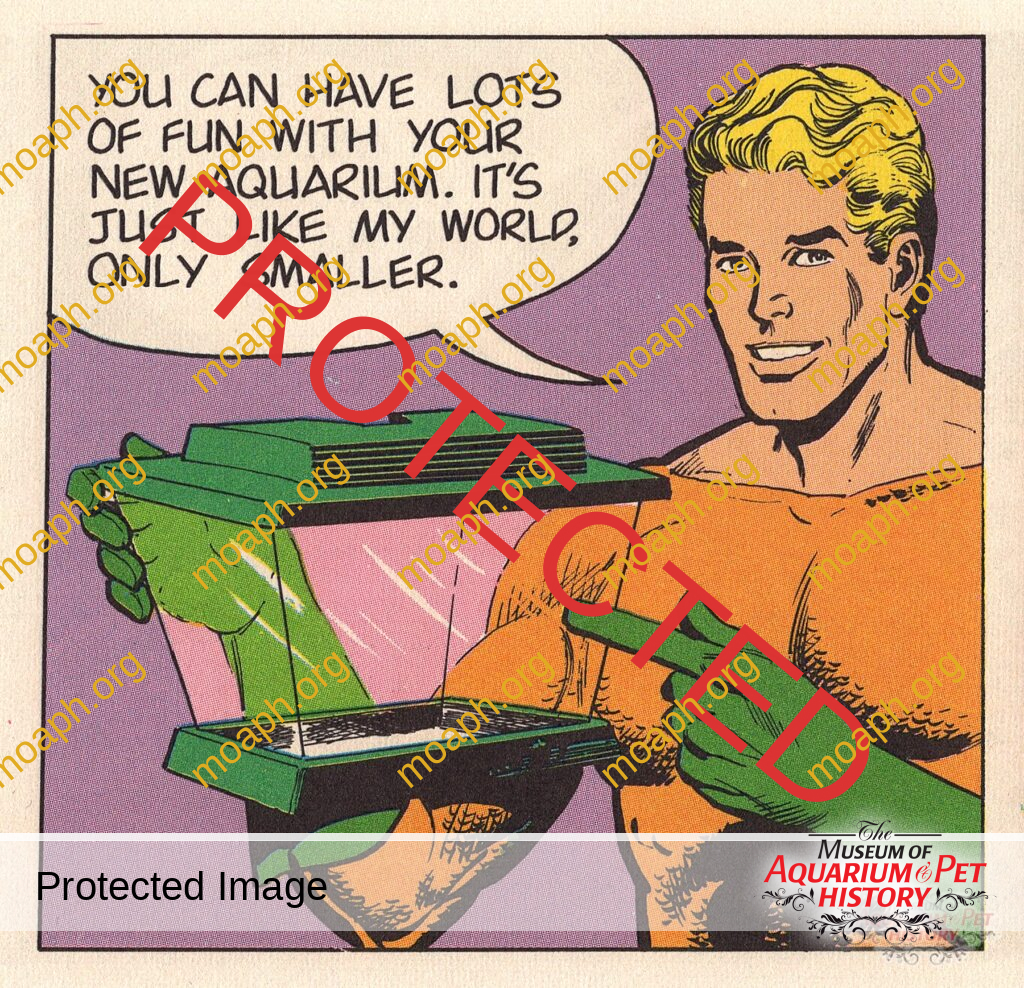 Collecting Vintage Plastic Aquariums