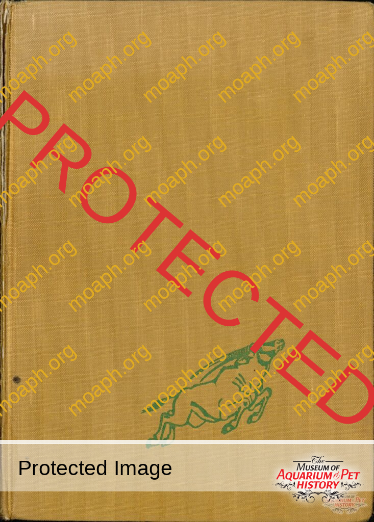 Chapter 1: The Good Old Days - Wilde Tiere Frei Haus (Wild Animals Free Delivery)