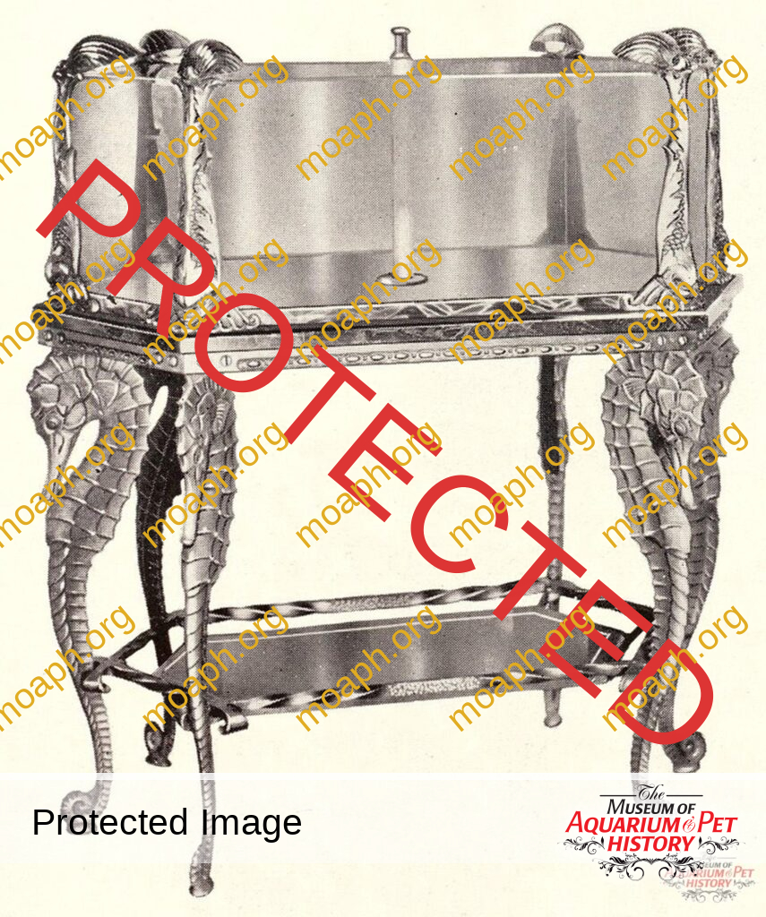 The Jewel Aquarium Company