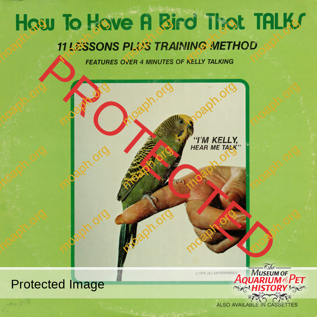 How to Have a Bird That Talks