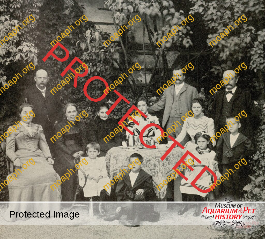 Chapter 2: The White Earth - Wilde Tiere Frei Haus (Wild Animals Free Delivery)