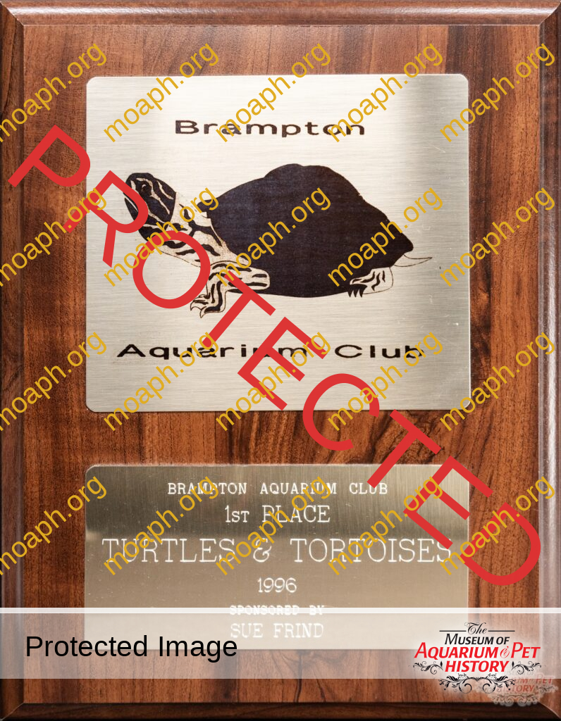 Brampton Aquarium Club Plaques