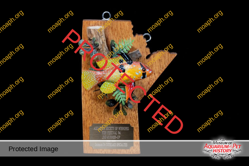 Aquarium Society of Winnipeg Fish Festival Runner Up