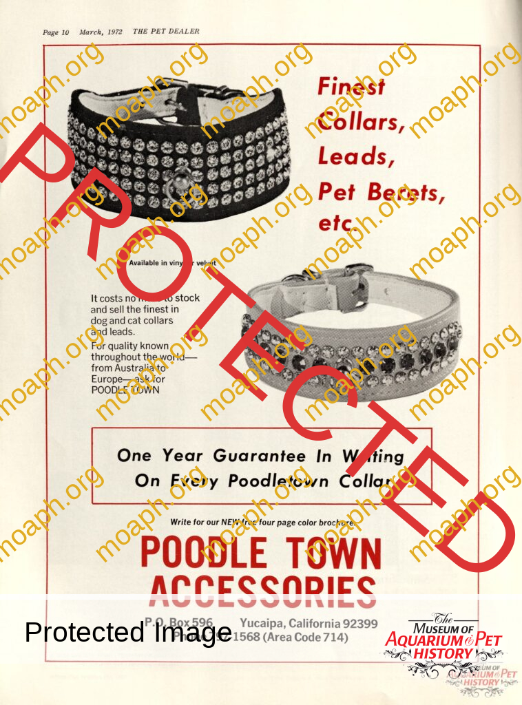 Poodle Town Accessories Ad