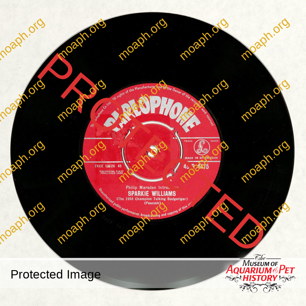 Sparkie Williams the Talking Budgerigar