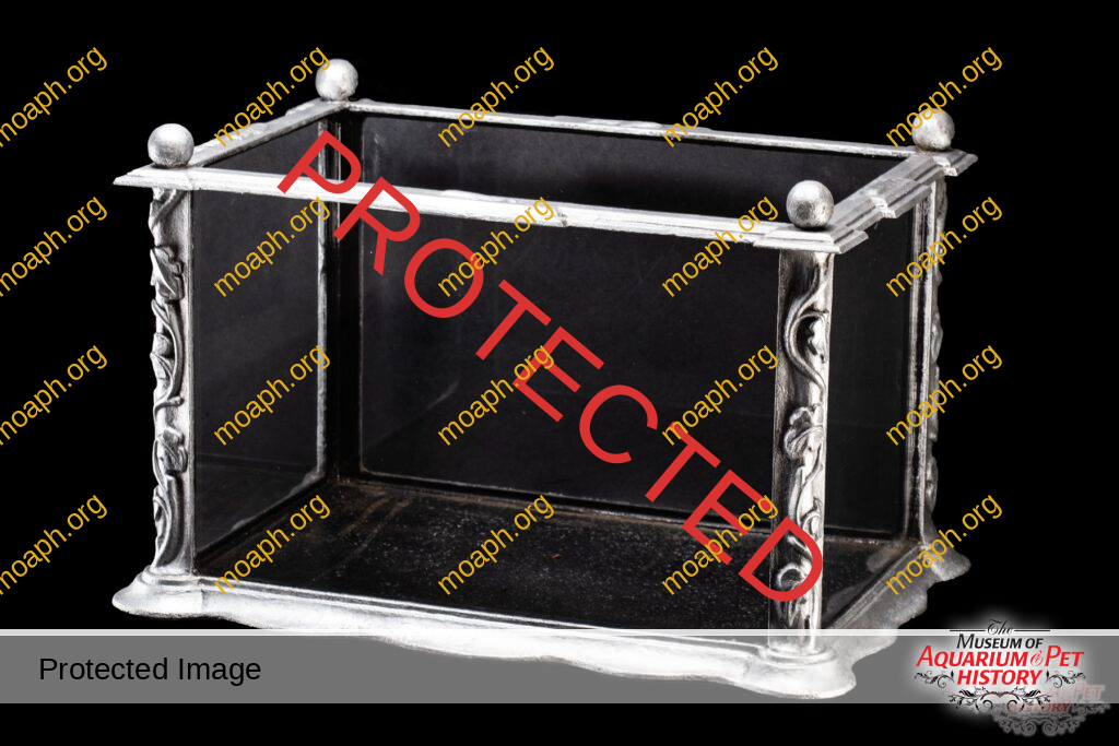 1890s Cast Iron Victorian Aquarium