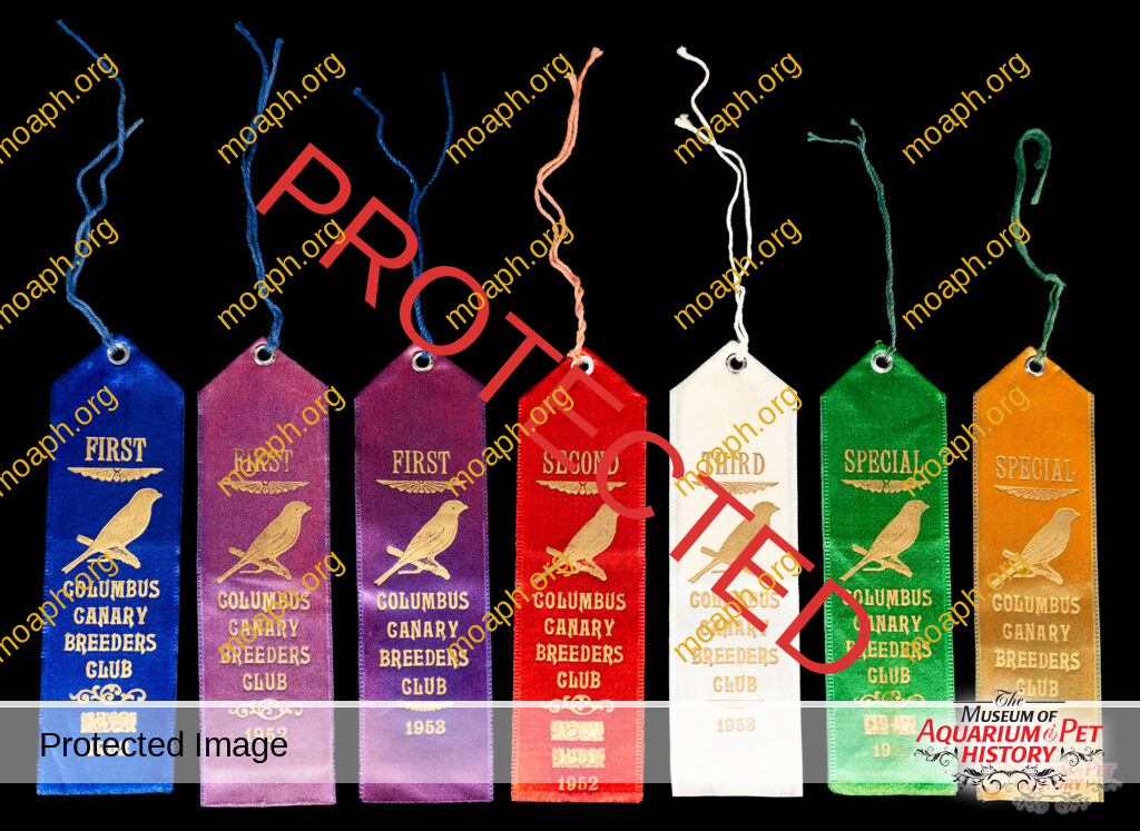 Columbus Canary Breeder's Club Show Ribbons