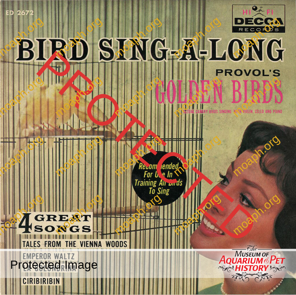 Provol's Golden Birds: Bird Sing-A-Long