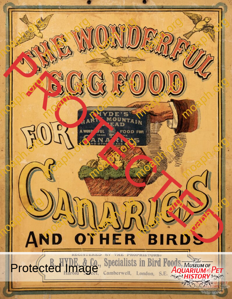 R. Hyde & Co. Egg Food for Canaries Sign