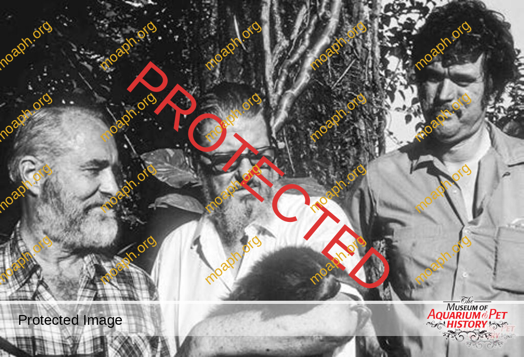 Portrait of a Herpetologist as an Older Man - Part 3: Zoo Years