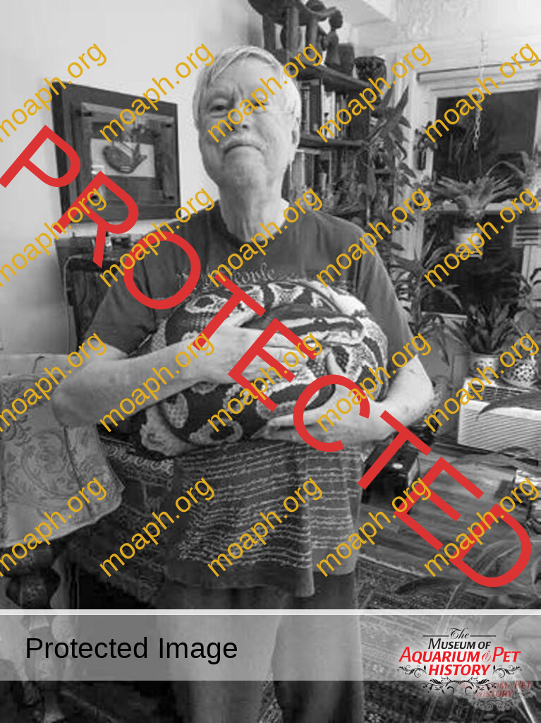 Portrait of a Herpetologist as a Young Man - Part 2