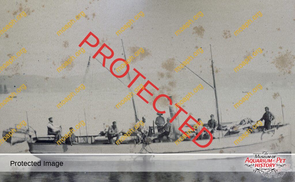 William Alford Lloyd: New Unpublished Letters Unveiled - Part 3