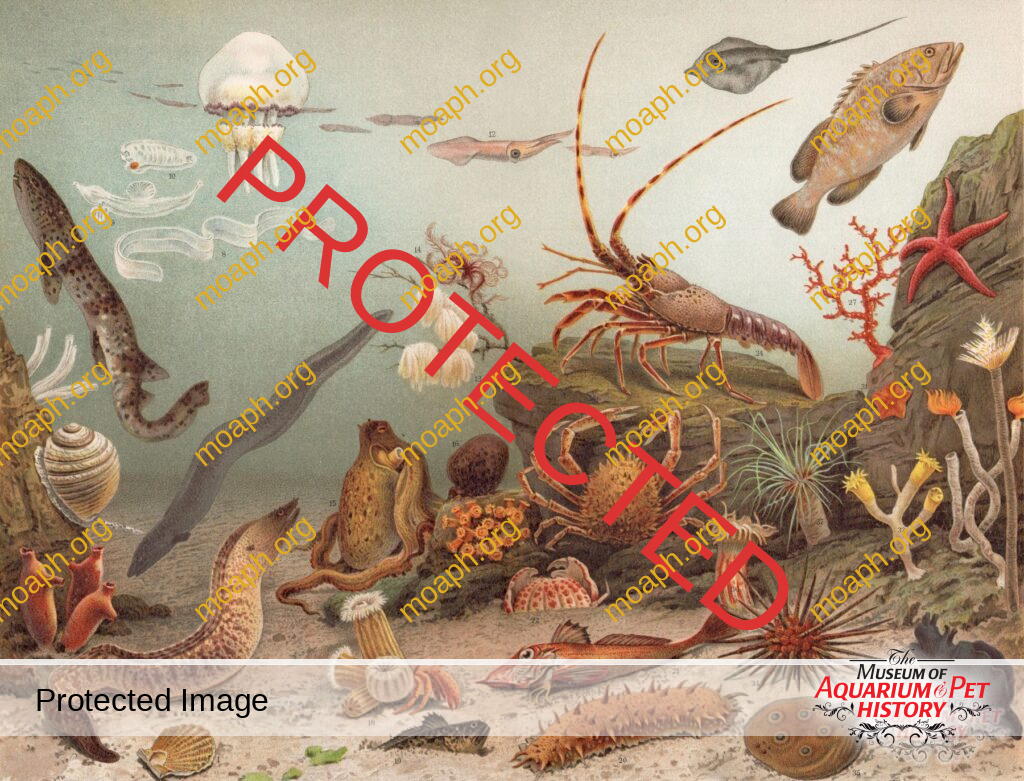 William Alford Lloyd: New Unpublished Letters Unveiled - Part 2