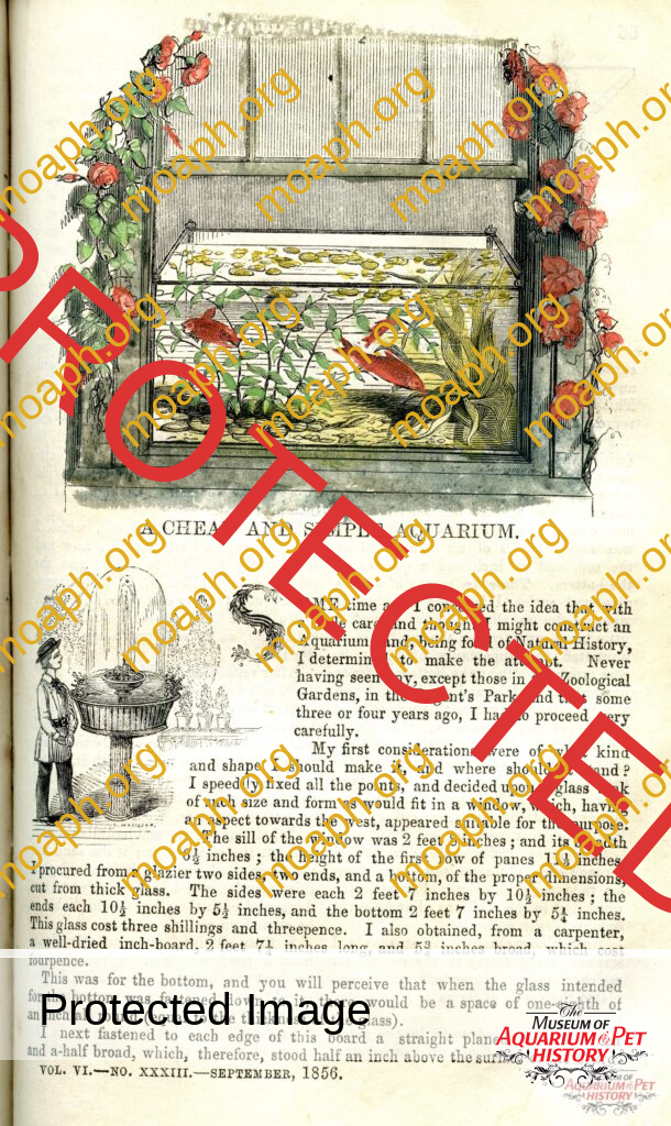 On the Interesting History of an Early Aquarium Article