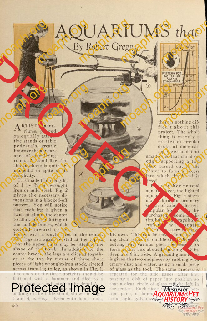 Aquariums that are Distinctive