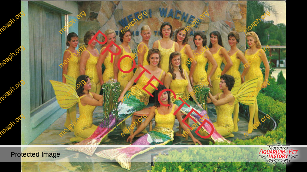 Weeki Wachee Films 8mm