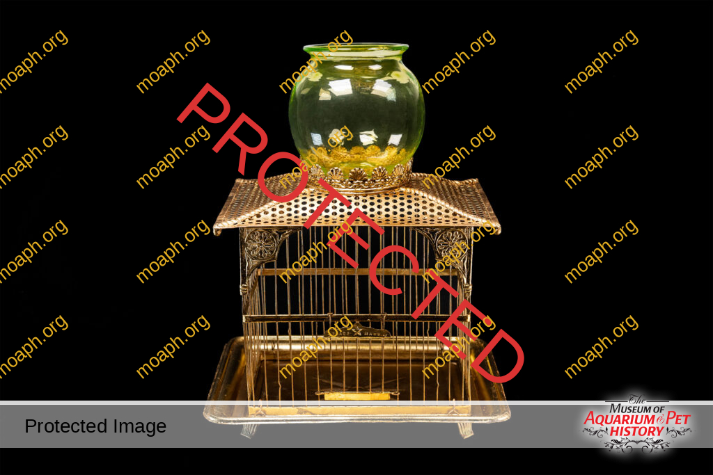 Bird Cage Fishbowl Combo