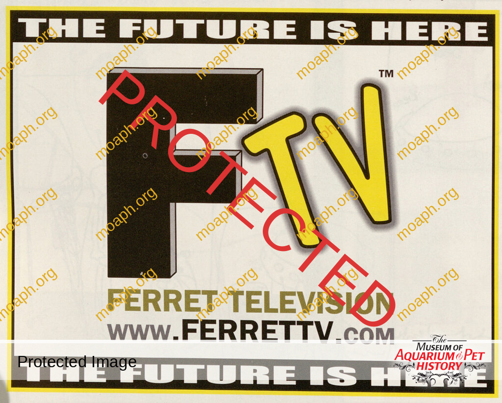 FerretTV Ad