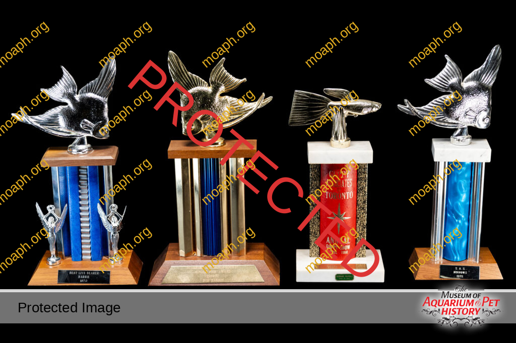 Guppy Trophies